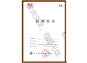 檢測報告